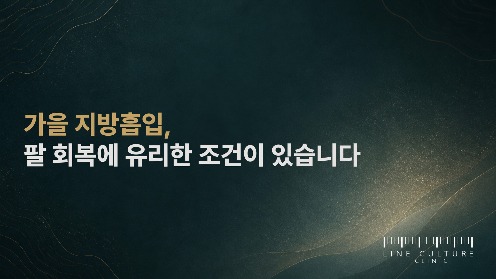 가을 지방흡입, 팔 회복에 유리한 조건이 있습니다 - 라인컬처의원