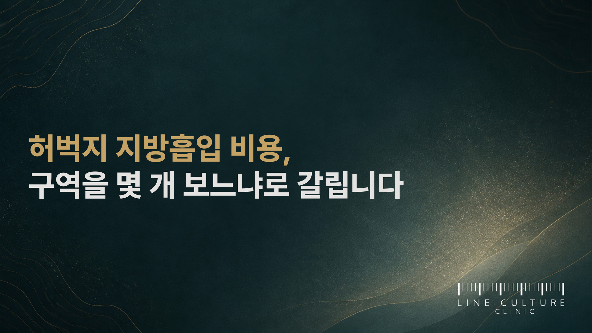허벅지 지방흡입 비용, 구역을 몇 개 보느냐로 갈립니다 - 라인컬처의원