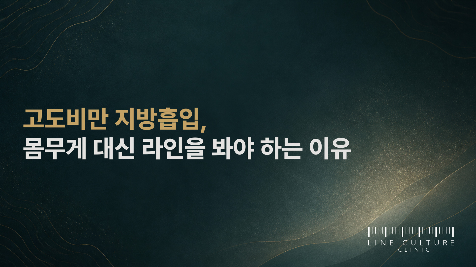 고도비만 지방흡입, 몸무게 대신 라인을 봐야 하는 이유 - 라인컬처의원