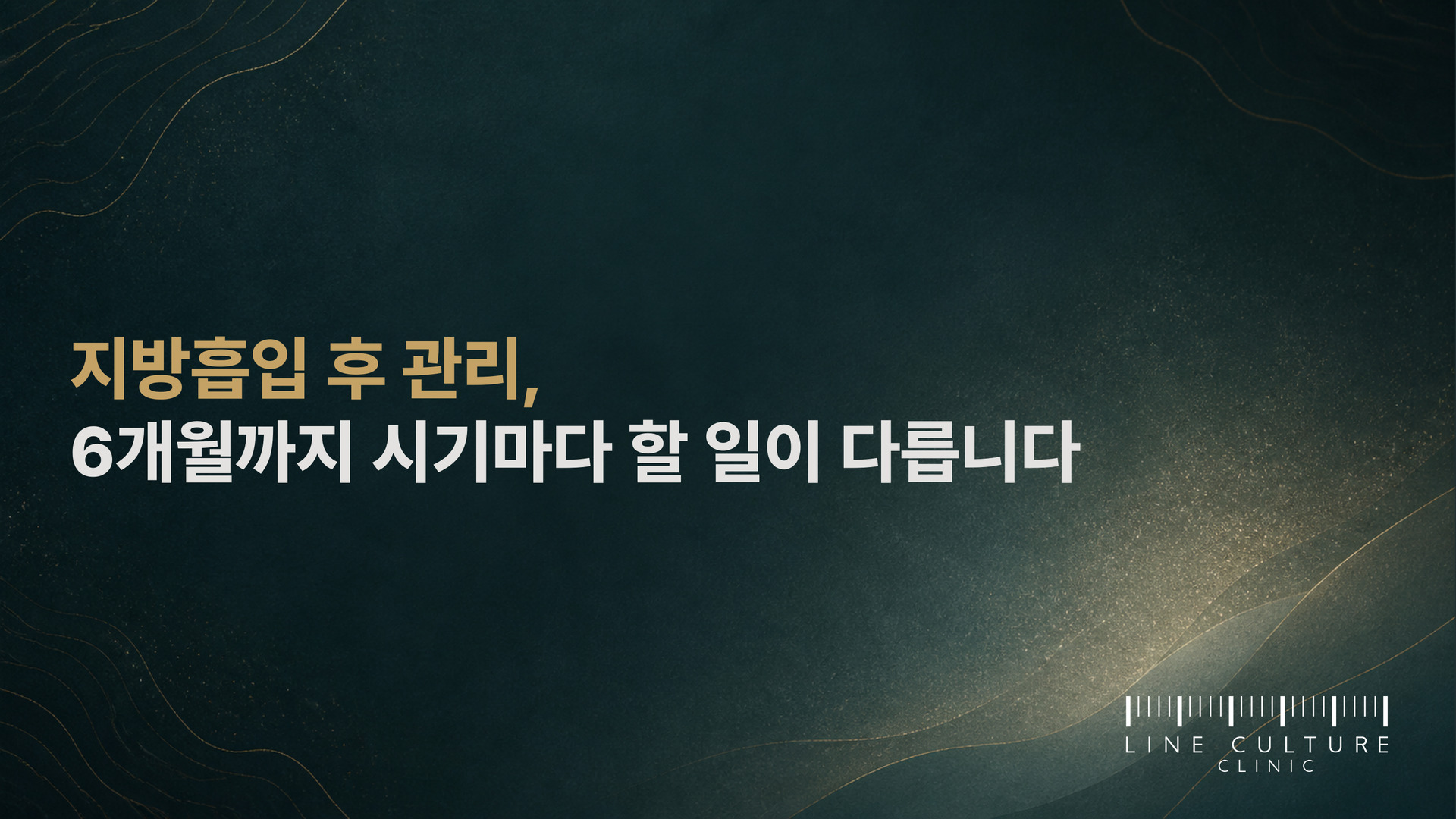 지방흡입 후 관리, 6개월까지 시기마다 할 일이 다릅니다 - 라인컬처의원